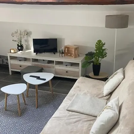 Cocon Sous Les Toits #tv-wifi#port# Golden Nest Apartment *