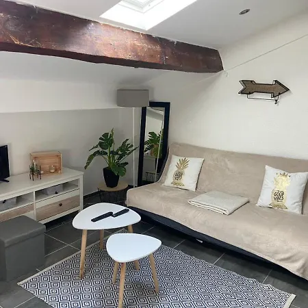 Cocon Sous Les Toits #tv-wifi#port# Golden Nest Apartment La Seyne-sur-Mer